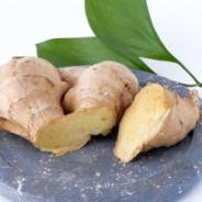 Ginger: It Does More Than Calm a Sour Stomach