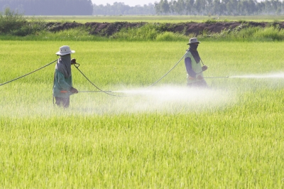 Expectant Mothers Exposed to Pesticides Linked to Autism