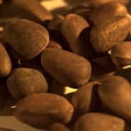 How To Get Protein Without Consuming Animal Products