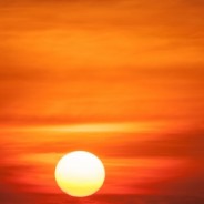 The Importance of Breakfast—and Fitness— in the Morning