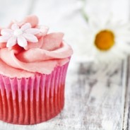 Too Much Sugar Slows the Brain, Decreases Memory