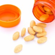 Antibiotics Destroy Gut Health