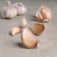 1 Weird Flu Fighting Plant