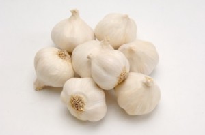 garlic2