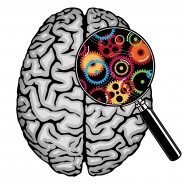 5 Habits That Change Your Brain
