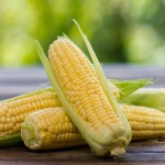 Fresh corn on the wooden table