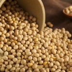 Organic Dry Soy Beans