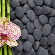 3 Dietary Ways to Naturally Balance Your Hormones