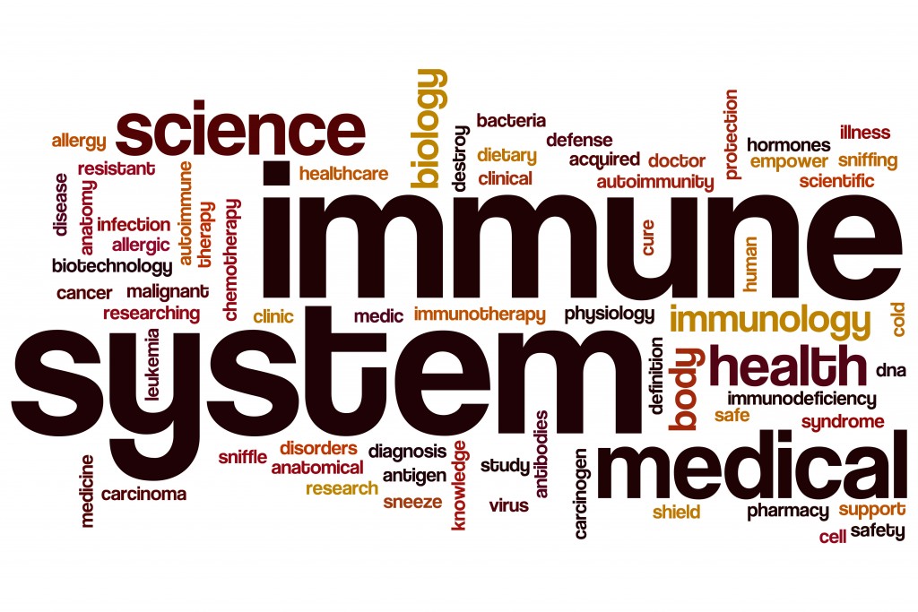 5 Ways You May be Damaging Your Immune System