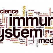 5 Ways You May be Damaging Your Immune System