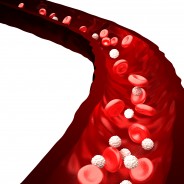 Lessons in Lymphatic Health