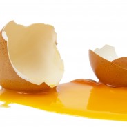 Still Throwing Away The Egg Yolk? Here’s Why You MUST Reconsider