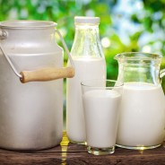 The Dairy-Acne Link