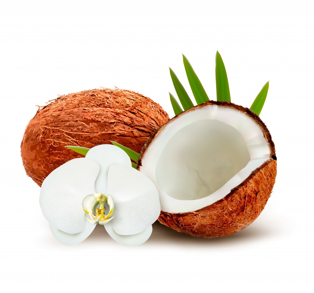 Coconut: Top of the Superfood Chain