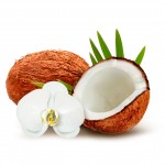 Coconut: Top of the Superfood Chain