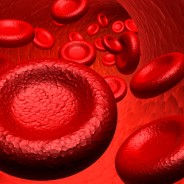 Blood Test Could Identify Macular Degeneration