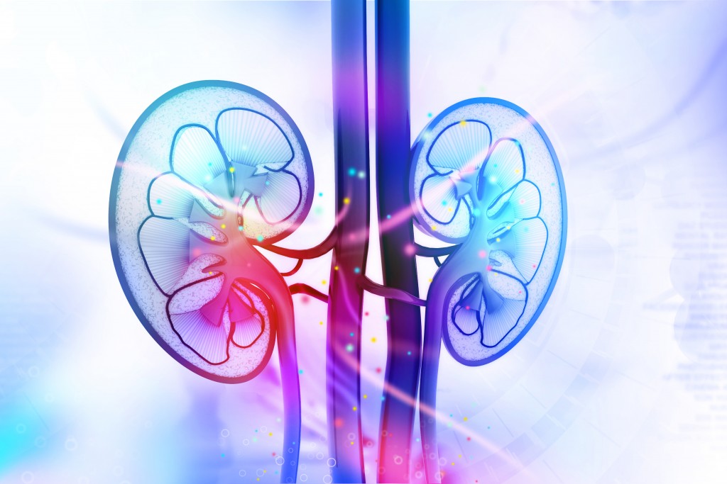 10 Signs of Kidney Malfunction; 8 Ways to Damage Your Kidneys; 6 Helpful Foods