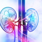 10 Signs of Kidney Malfunction; 8 Ways to Damage Your Kidneys; 6 Helpful Foods