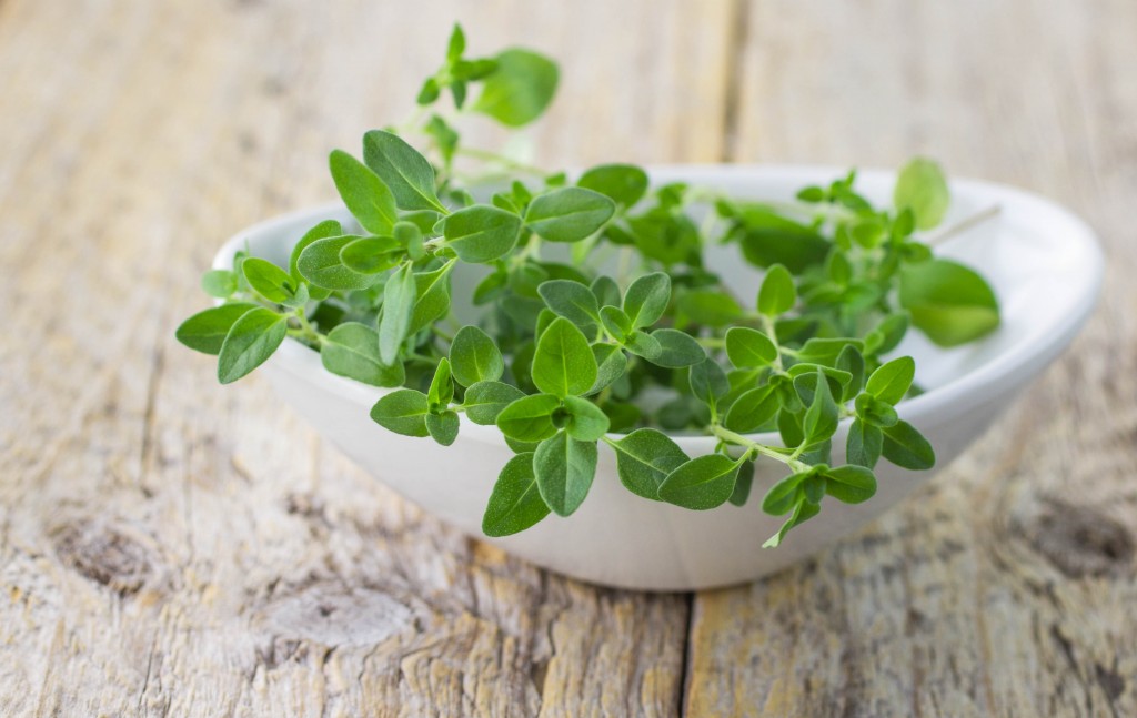 Just in Thyme – 5 Outstanding Benefits