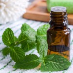 5 Ways Peppermint Can Work for You