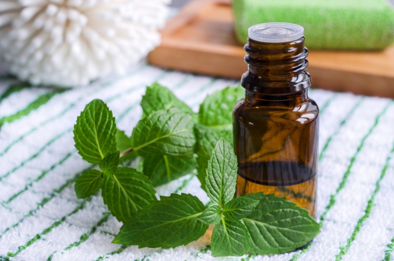 5 Ways Peppermint Can Work for You