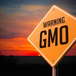 How to Spot GMO Foods