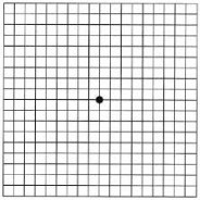 The “Essential 7” Slows Age Related Macular Degeneration?