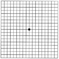 The “Essential 7” Slows Age Related Macular Degeneration?