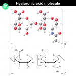 7 Benefits of Hyaluronic Acid