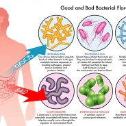 The Gut-Brain Axis Mood Link