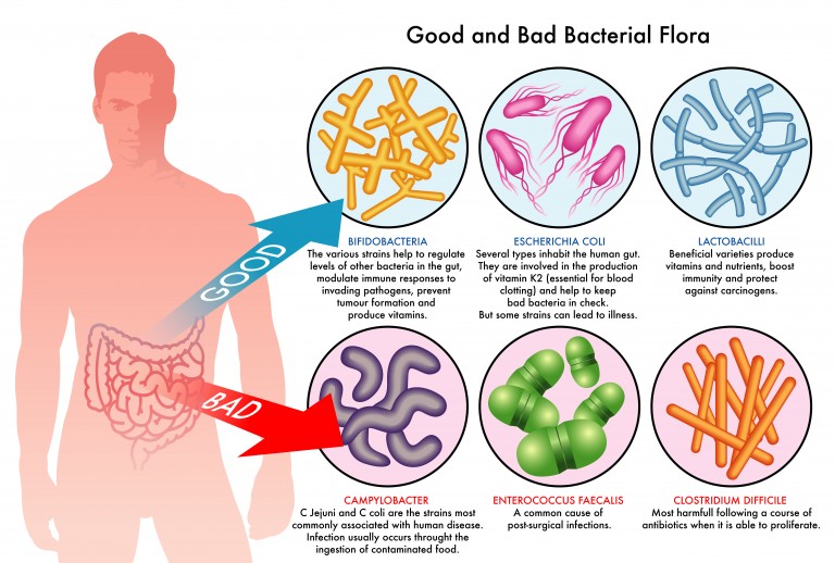 The Gut-Brain Axis Mood Link