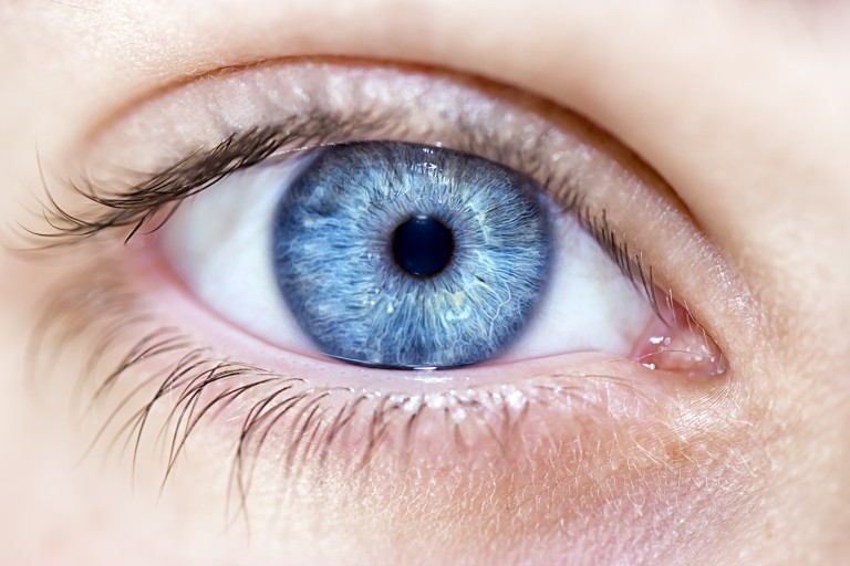 Iridology: Friend or Foe?