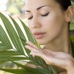 5 Benefits of Aloe Vera