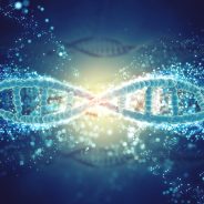 Study Links Alzheimer’s Proteins to Age-Related Macular Degeneration