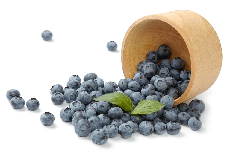 Feed Your Child More Blueberries