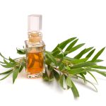 Studies Confirm Why You Should Own A Bottle Of Tea Tree Oil