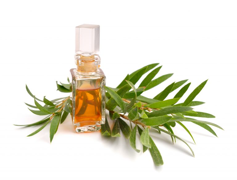 Studies Confirm Why You Should Own A Bottle Of Tea Tree Oil