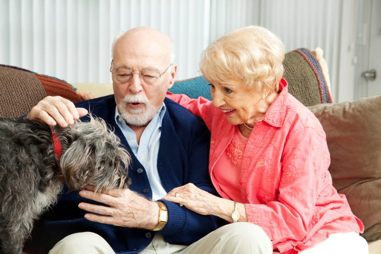 Health Benefits of Pet Therapy