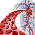 6 Natural Ways to Improve Circulation