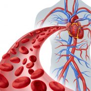 6 Natural Ways to Improve Circulation
