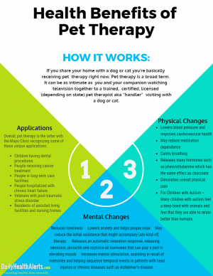 Health Benefits of Pet Therapy | Daily Health Alerts