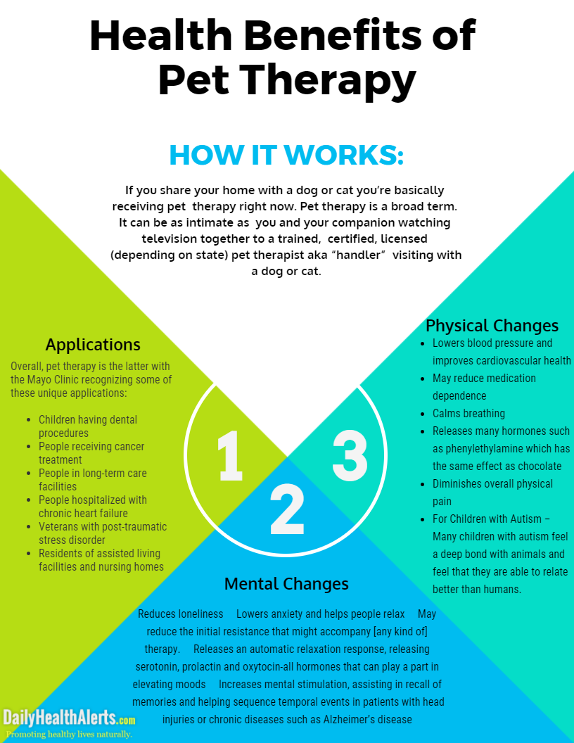 Health Benefits of Pet Therapy | Daily Health Alerts