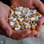 Lectin-Free Diet: 6 Foods to Avoid for Better Health