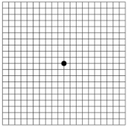 In-Home Tests For Macular Degeneration