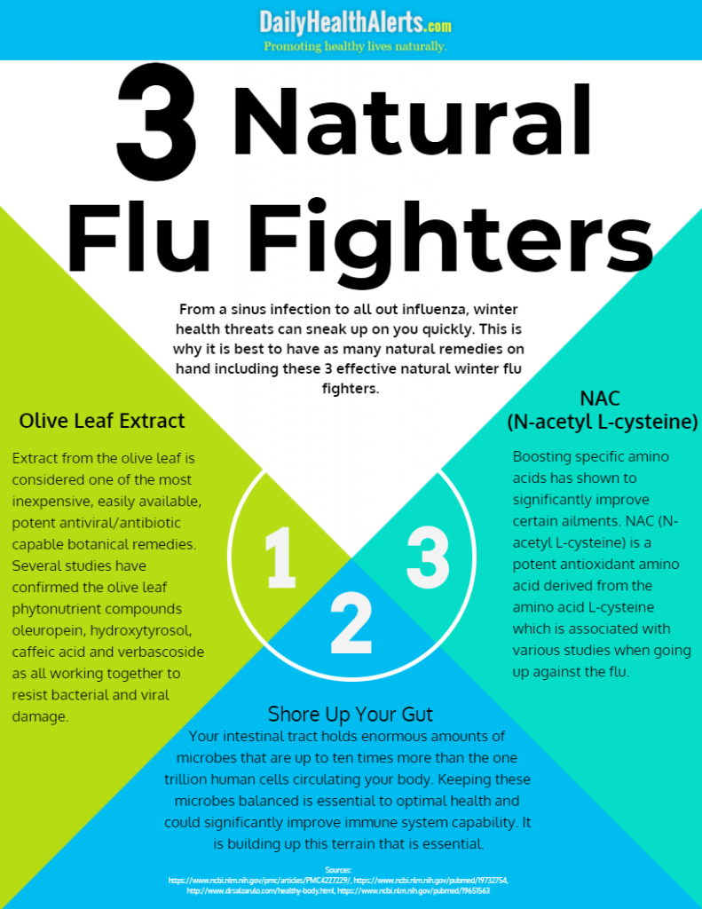 3 Effective Natural Winter Flu Fighters Daily Health Alerts