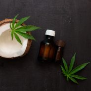 Cannabis Coconut Oil: Recipe and Health Benefits