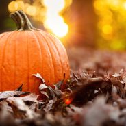 Immune Boosting Recipes for Fall