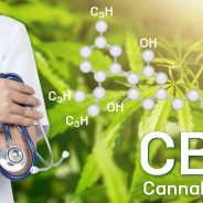 5 Benefits of CBD Oil