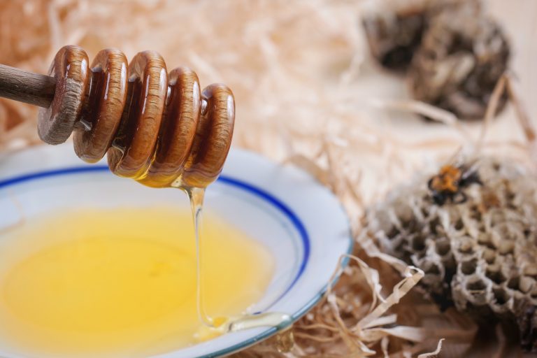 Honey for Brain – Its Curative And Enhancing Qualities