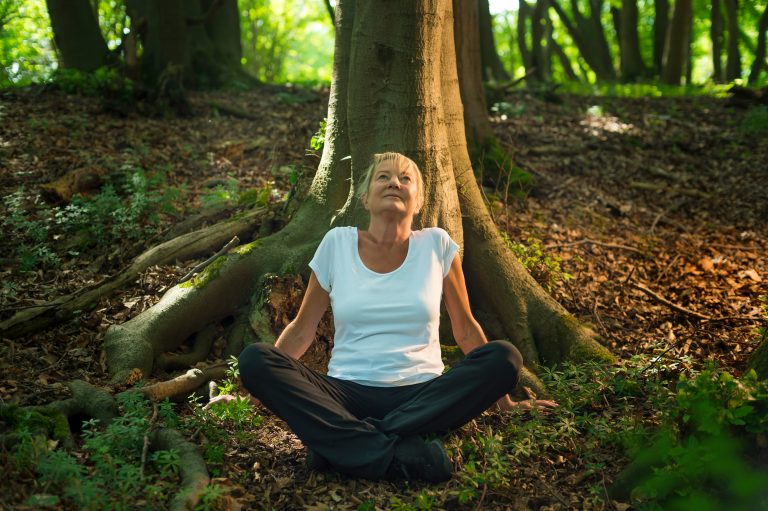 Can’t Touch? Try Forest Bathing